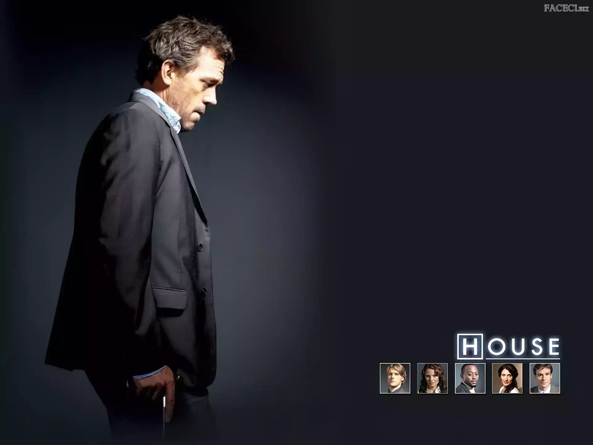 Hugh Lauriego, Dr. House