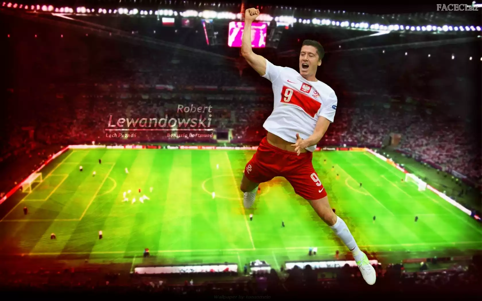 Stadion, Robert Lewandowski, Boisko